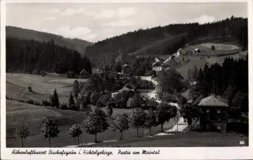 Ak Bischofsgrün im Fichtelgebirge, Maintal