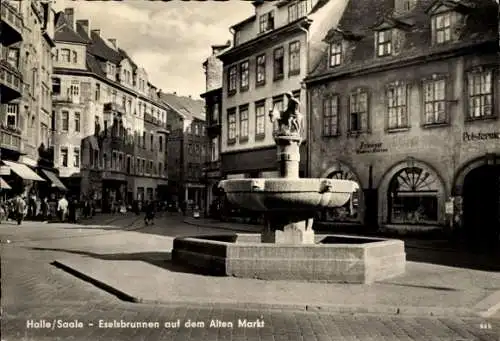 Ak Halle an der Saale, Eselsbrunnen, Alter Markt