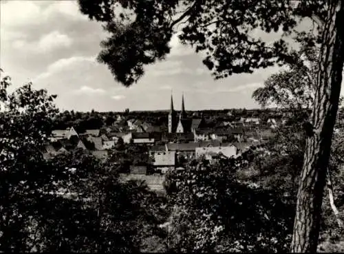 Ak Grimma in Sachsen, Blick vom Stadtwald