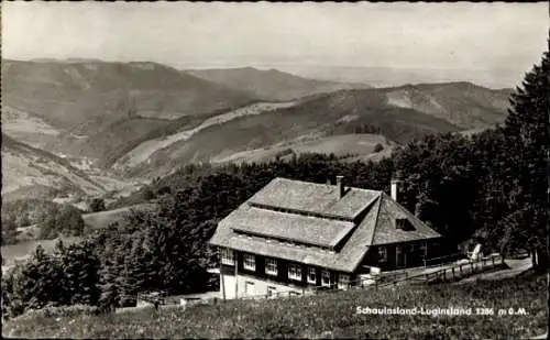 Ak Freiburg im Breisgau, Schauinsland, Luginsland, Panorama