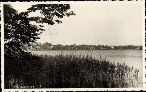 Ak Schmalensee in Holstein, Teilansicht, Panorama