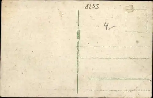 Ak Nossen in Sachsen, Stadtansicht mit Schloss.