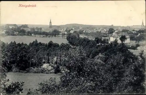 Ak Königsbrück in der Oberlausitz, Gesamtansicht