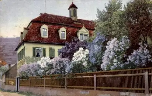 Ak Ortspartie mit Wohnhaus und Blumen, Nenke und Ostermaier 1196