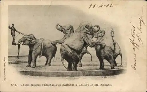 Ak Zirkus Barnum & Bailey, Un des groupes d'Éléphants, Elefanten