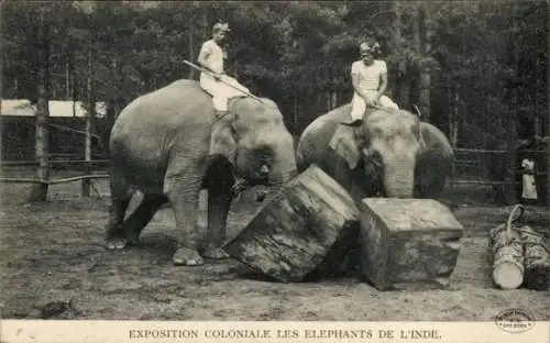 Ak Exposition Coloniale Les Elephants de l'Inde, Indische Elefanten