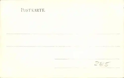 Ak Zwickau in Sachsen, Schwanenschloss, Ruderboote