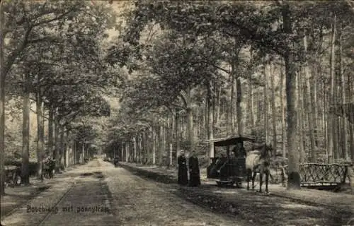 Ak Boschlaan Gelderland Niederlande, Pferdewagen