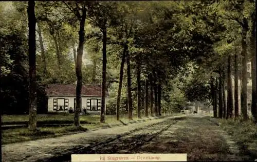 Ak Denekamp Overijssel Niederlande, Bij Singraven, Allee