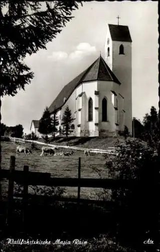 Ak Maria Rain Oy Mittelberg im Allgäu, Wallfahrtskirche