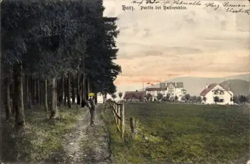 Ak Hahnenklee Bockswiese Goslar im Harz, Teilansicht, Wald