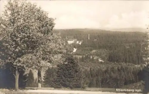 Ak Albertsberg Auerbach im Vogtland, Panorama