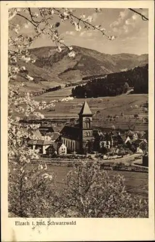 Ak Elzach im Schwarzwald, Gesamtansicht