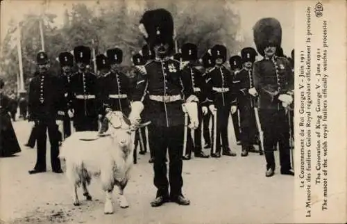 Ak Couronnement du Roi Georges V 1911, Mascote des fusilliers Galois Royal