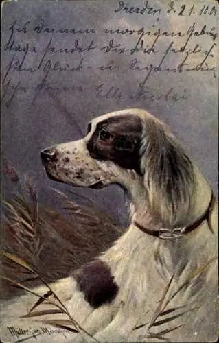 Künstler Ak Müller, Hund in einem Feld, Portrait