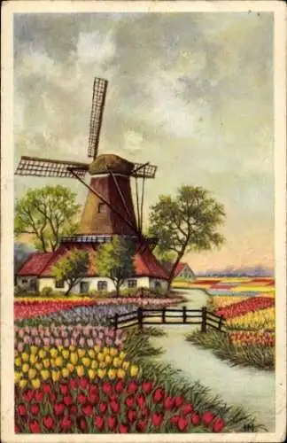 Ak Windmühle am Wasser, Bunte Tulpenbeete