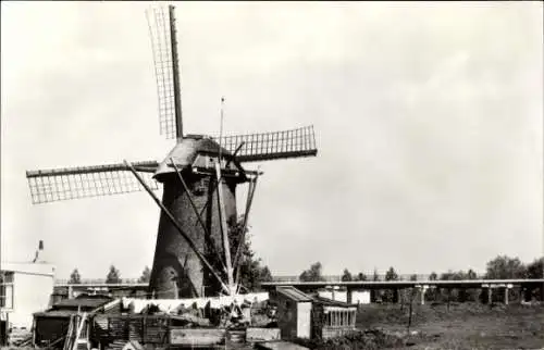 Ak Maassluis Südholland, Molen, Windmühle