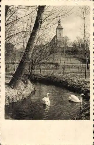 Foto Ak Colmar Kolmar Alsace Haut Rhin, Schwäne auf dem Wasser, Kirche