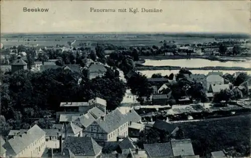 Ak Beeskow in der Mark, Panorama mit Kgl. Domäne