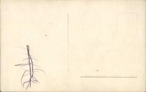 Ak Schauspielerin Brigitte Helm, bekannt aus Metropolis, Portrait mit Pudel