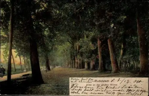 Ak Rudolstadt in Thüringen, Allee an der großen Wiese