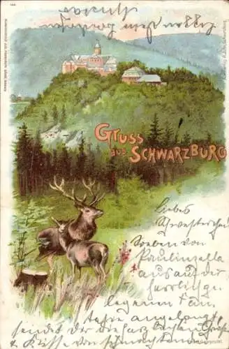 Litho Schwarzburg in Thüringen, Teilansicht, Hirsche