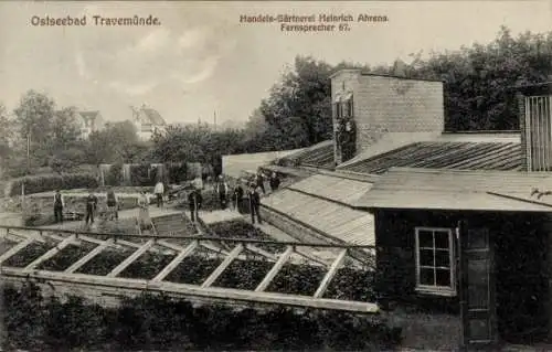 Ak Ostseebad Travemünde Lübeck, Handelsgärtnerei Heinrich Ahrens, vom Inh. geschrieben und signiert