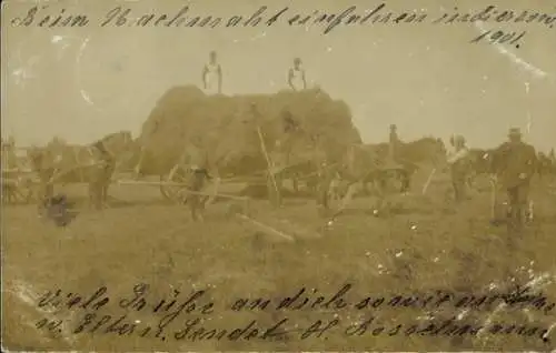 Foto Ak Zierzow Sietow in Mecklenburg, Bauern beim Heumachen, Sensen, Fuhrwerk