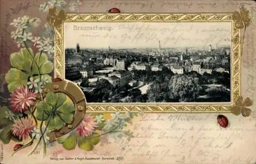 Präge Passepartout Ak Braunschweig in Niedersachsen, Panorama