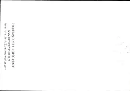 Ak Schauspieler Rainer Basedow, Portrait, Autogramm