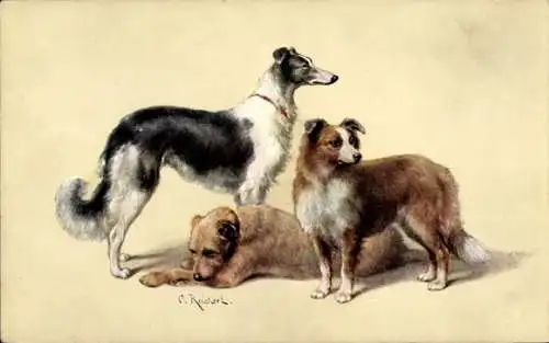 Künstler Ak Reichert, C., Hunde, Barsoi