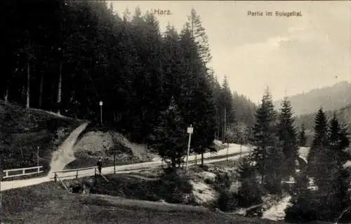 Ak Siptenfelde Harzgerode im Harz, Spiegeltal