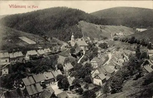 Ak Wildemann Clausthal Zellerfeld im Oberharz, Gesamtansicht