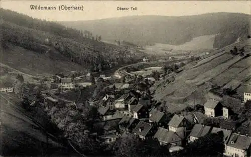 Ak Wildemann Clausthal Zellerfeld im Oberharz, Gesamtansicht