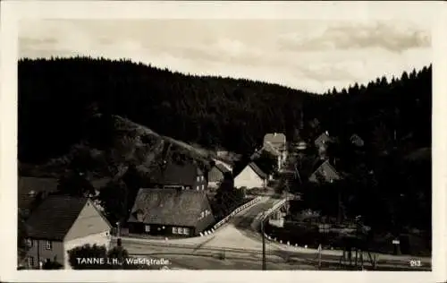 Ak Tanne Oberharz am Brocken, Waldstraße