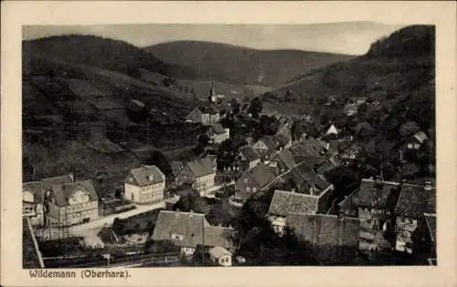 Ak Wildemann Clausthal Zellerfeld im Oberharz, Gesamtansicht