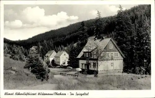 Ak Wildemann Clausthal Zellerfeld im Oberharz, Häuser, Spiegeltal