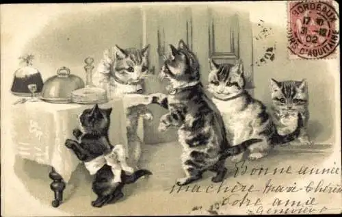 Präge Litho Katzen zu Tisch