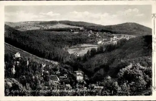 Ak Kipsdorf Altenberg im Erzgebirge, Panorama, Bärenfels