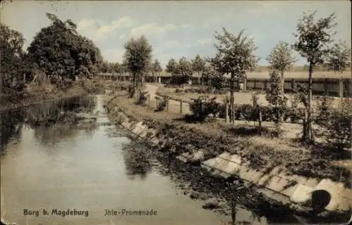 Ak Burg bei Magdeburg, Jhle-Promenade