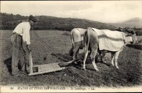 Ak Scènes et Types des Pyrenées, Le Labourage, Ackerpflug, Zugochsen