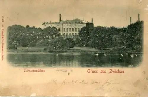 Relief Ak Zwickau in Sachsen, Schwanenschloss