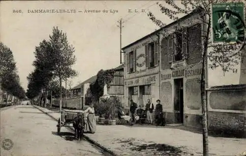 CPA Dammarie les Lys Seine et Marne, Avenue du Lys