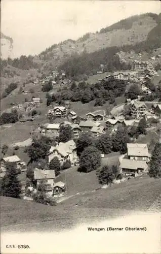 Ak Wengen Kanton Bern, Teilansicht