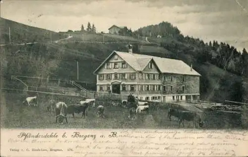 Ak Bregenz am Bodensee Vorarlberg, Pfänderdohle, Haus