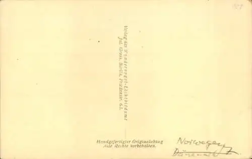 Ak Norwegen, Straßenansicht, Geschäfte