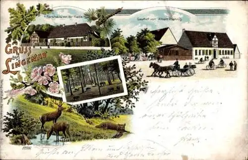 Litho Lingenau Raguhn in Anhalt, Forsthaus vor der Haide, Gasthof Albert Pfennig