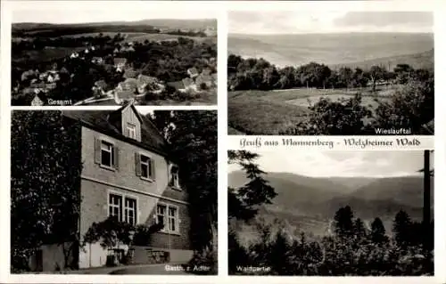 Ak Mannenberg Rudersberg in Württemberg, Panorama, Gasthaus Zum Adler, Fliegeraufnahme