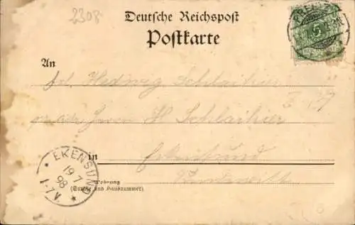 Ak Preetz in Holstein, Große Linde