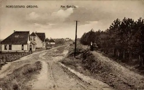 Ak Nordseebad Sankt Peter Ording, Am Gehölz